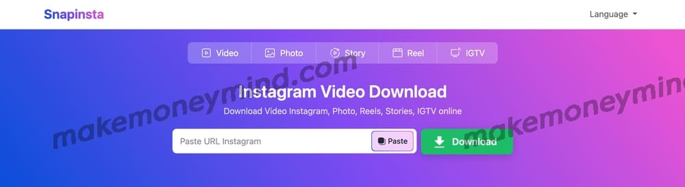 Instagram 视频下载工具推荐 - snapinsta