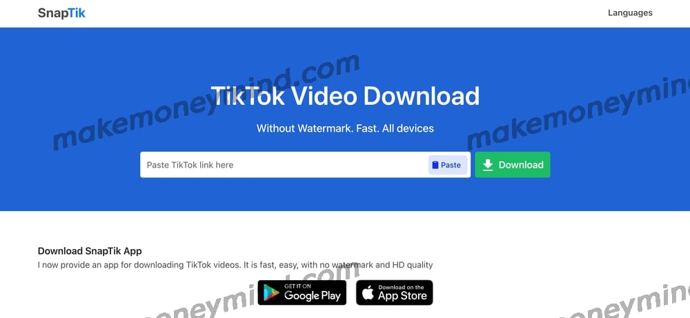 免费 TikTok 视频下载在线工具推荐 - snaptik